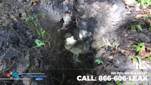 Water Leak Detection in Tarpon Springs FL