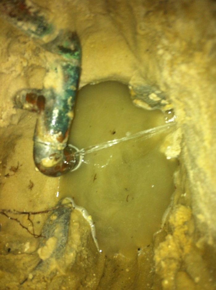 Leak Detection Tampa Bay I Find Leaks Licensed & Insured