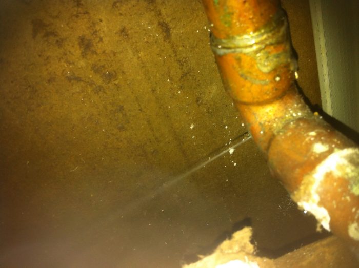 Copper Pipe Leak Detection | Water Leak Detection Tampa | I Find Leaks