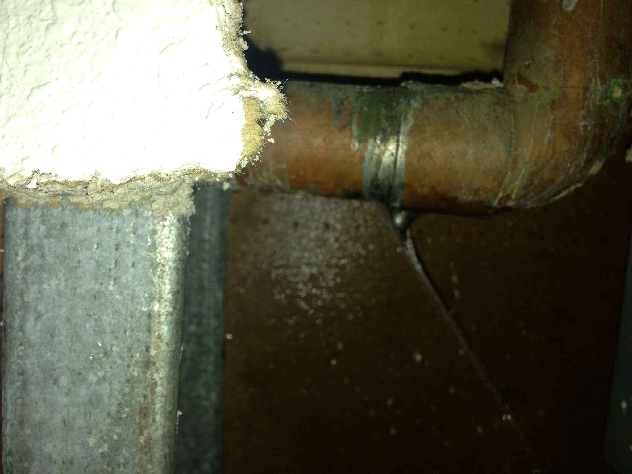 Broken copper pipe leaking
