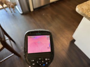 A FLIR infrared camera reveals hidden water beneath the kitchen floor as the family dog curiously watches the leak detection process unfold. Captured during a real Shore Acres call, this image highlights the precision and care I Find Leaks brings to every home inspection.