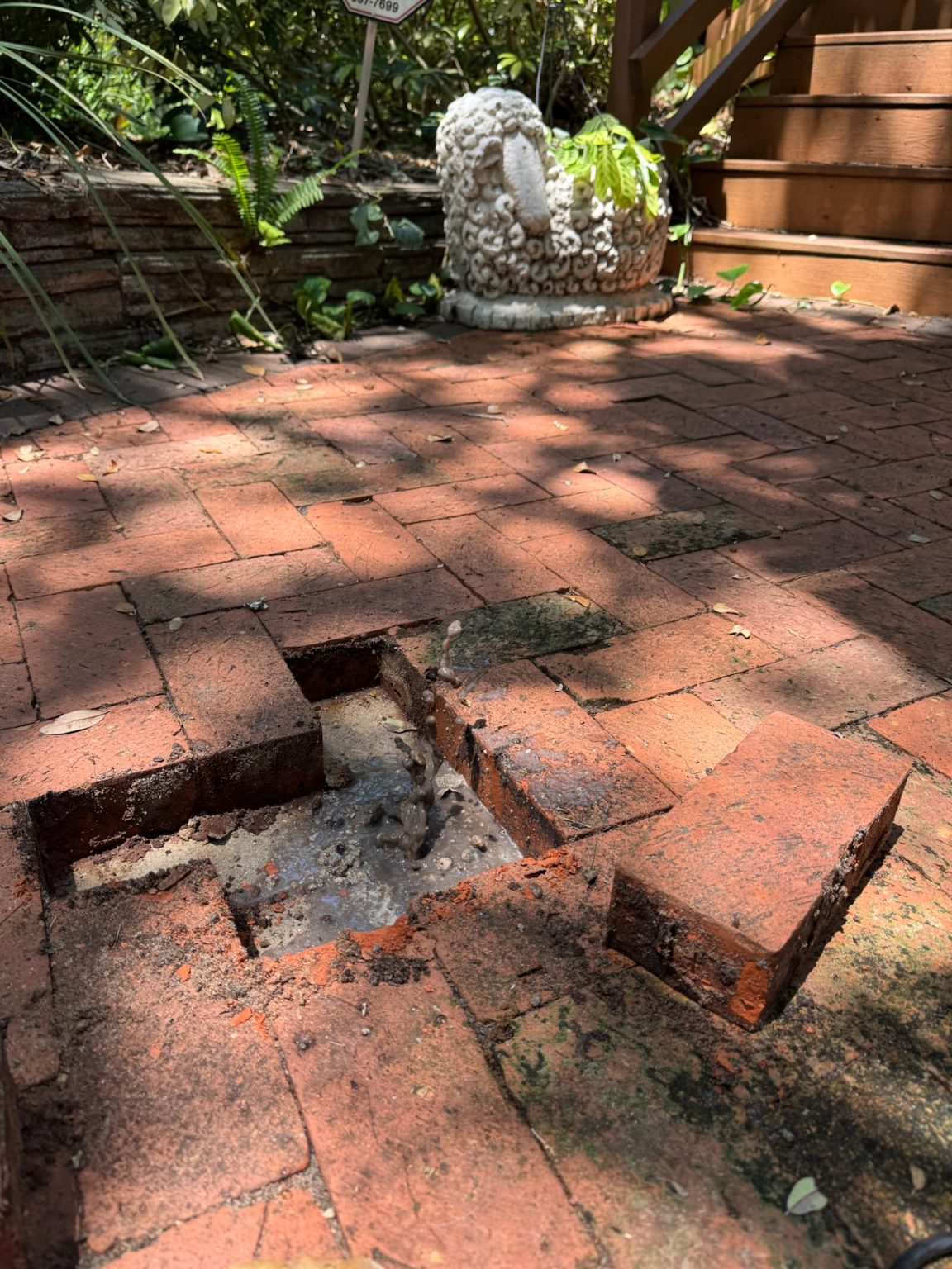 A water leak causing a high water bill on a Pinellas Park property.