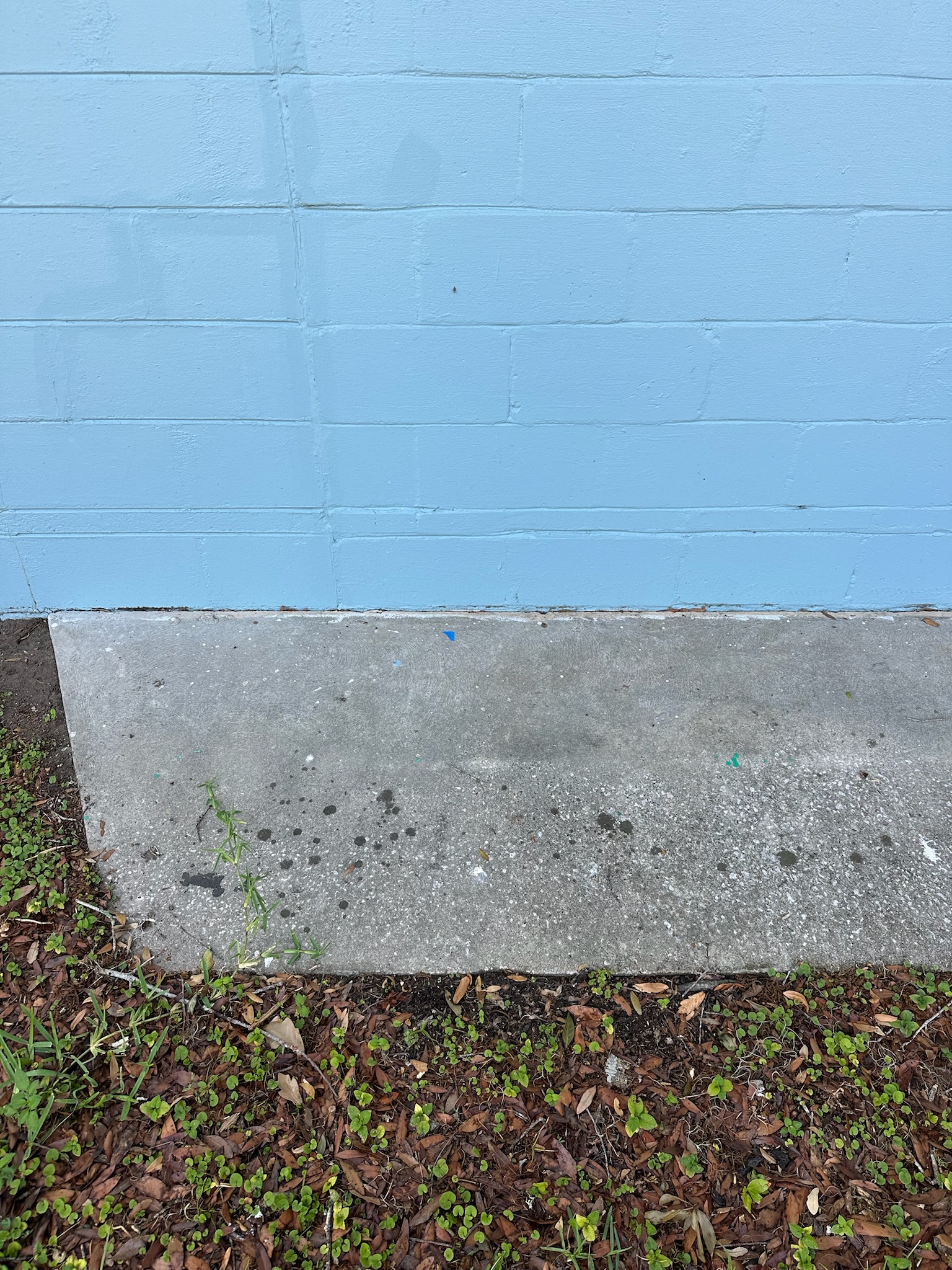 Exterior wall leak on concrete block home in Clearwater, Florida.