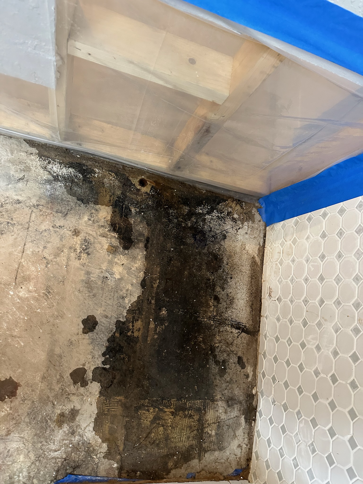 Long-term leak under wall in Clearwater home.