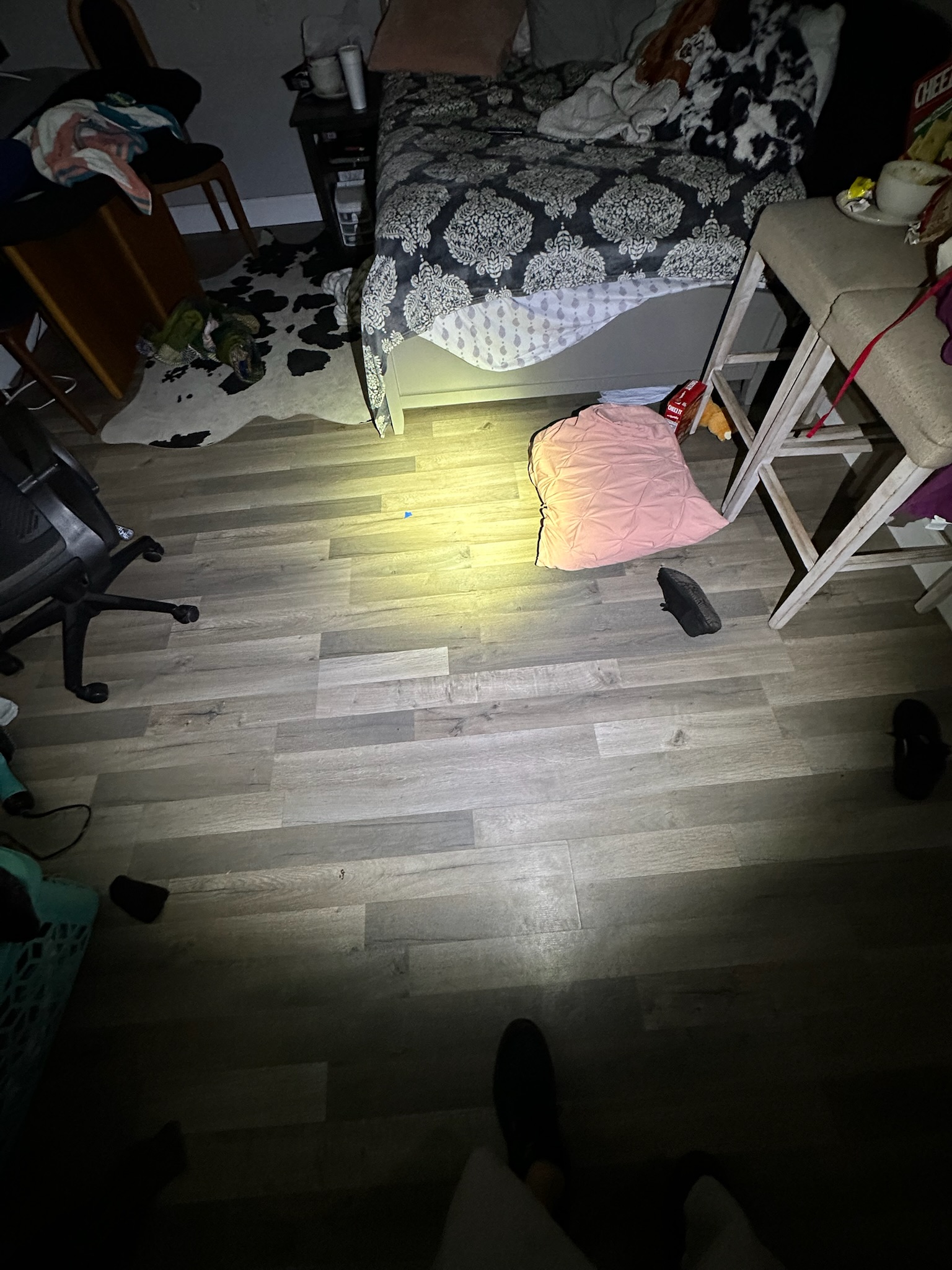 Leak technician uses flashlight in Clearwater bedroom with tenant present.