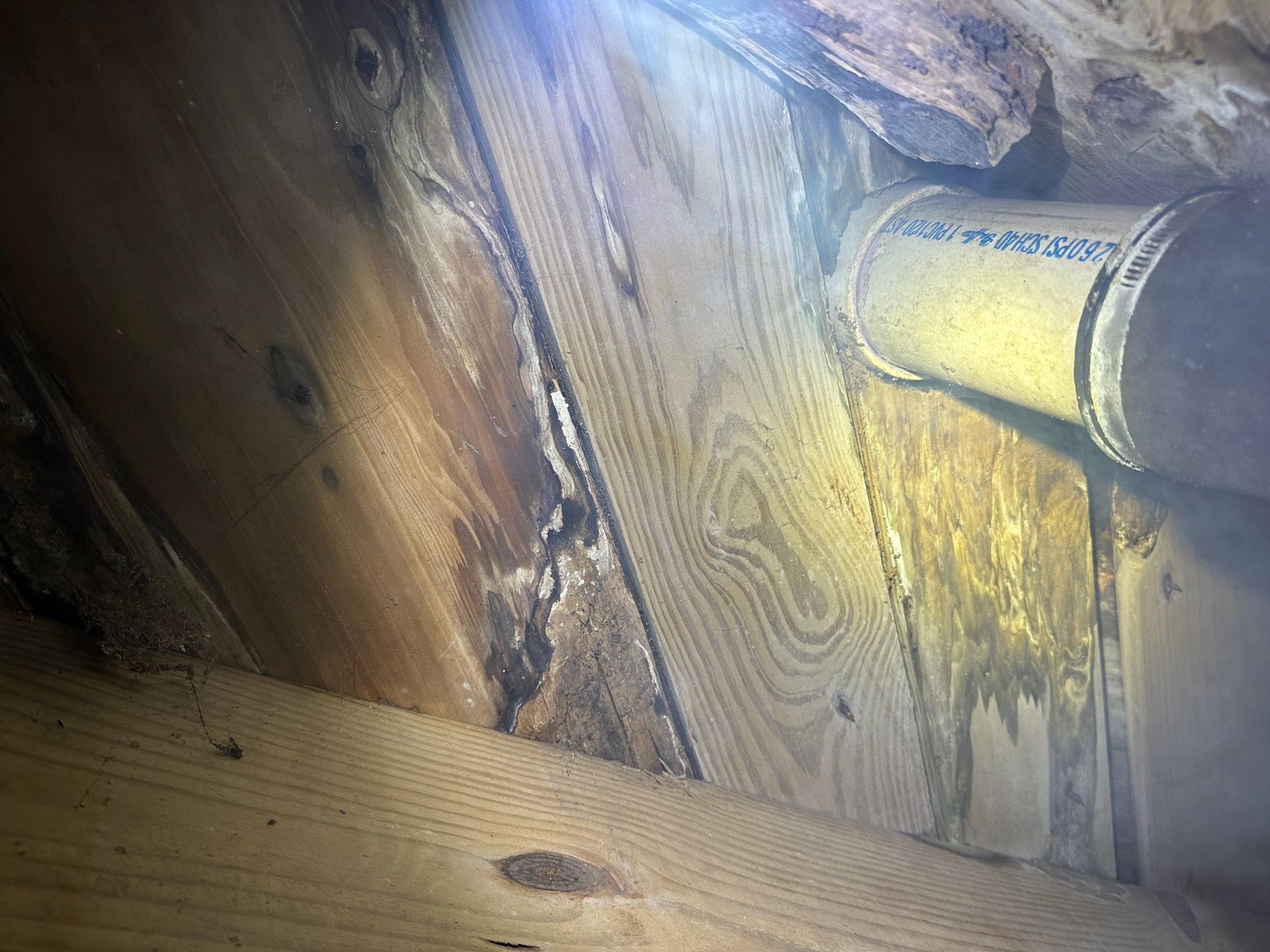 Smoke leaking from where a PVC pipe penetrates a wood floor, showing rodent damage at the rubber boot.