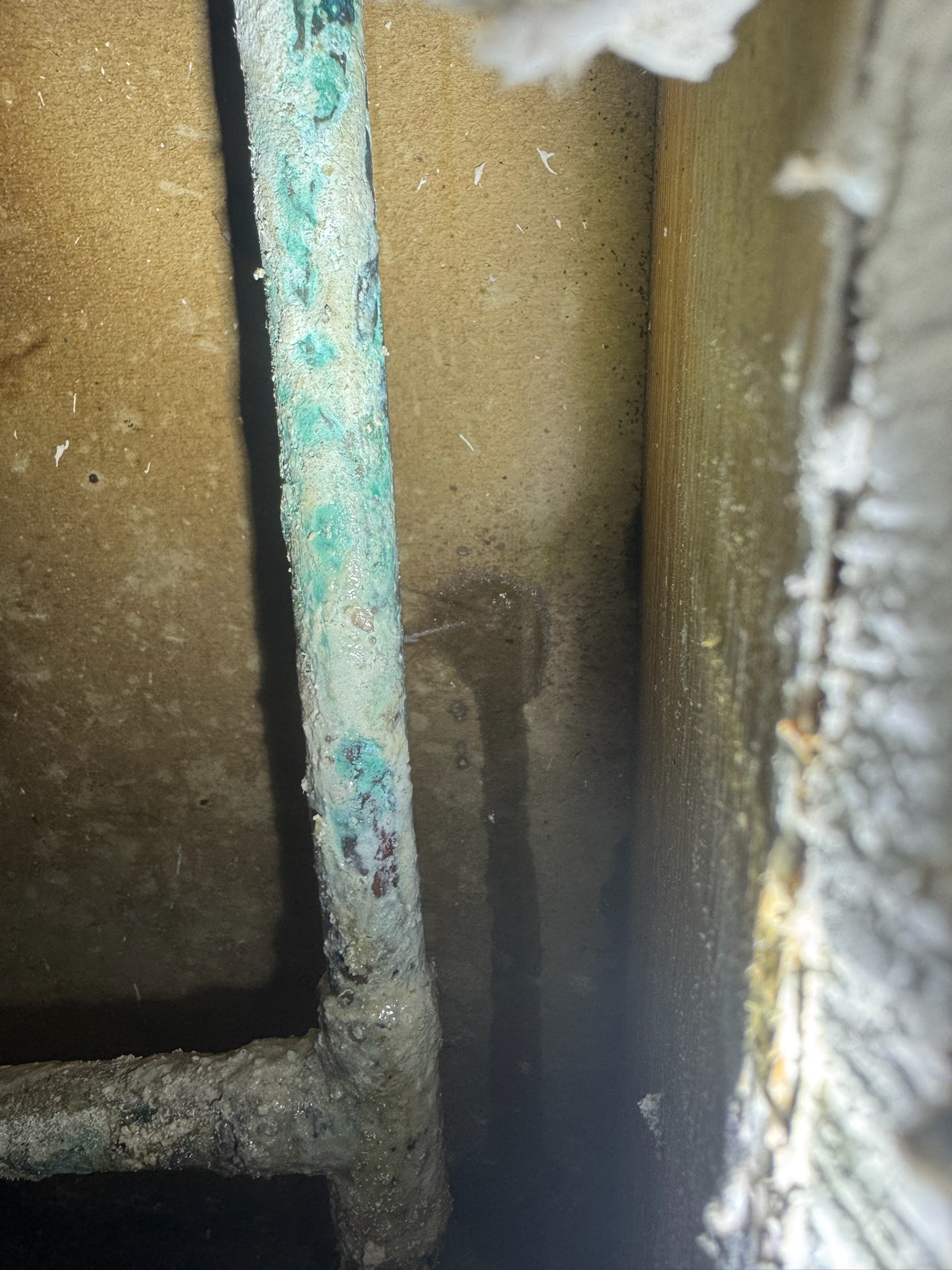Corroded copper pipe with pinhole leak spraying water inside Madeira Beach home wall