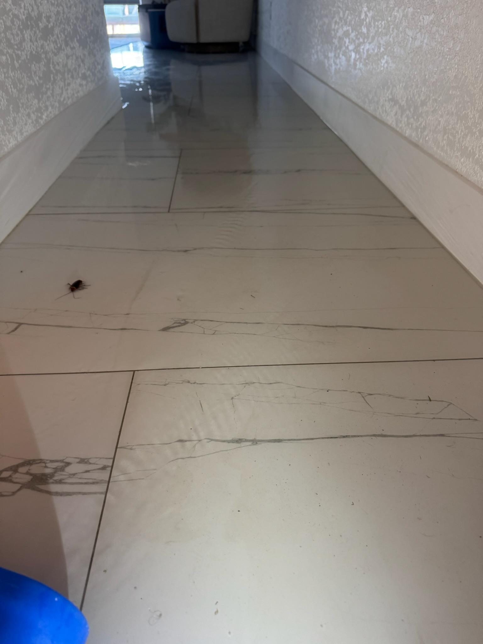 Severe hallway flooding in Madeira Beach home with water damage and dead roach