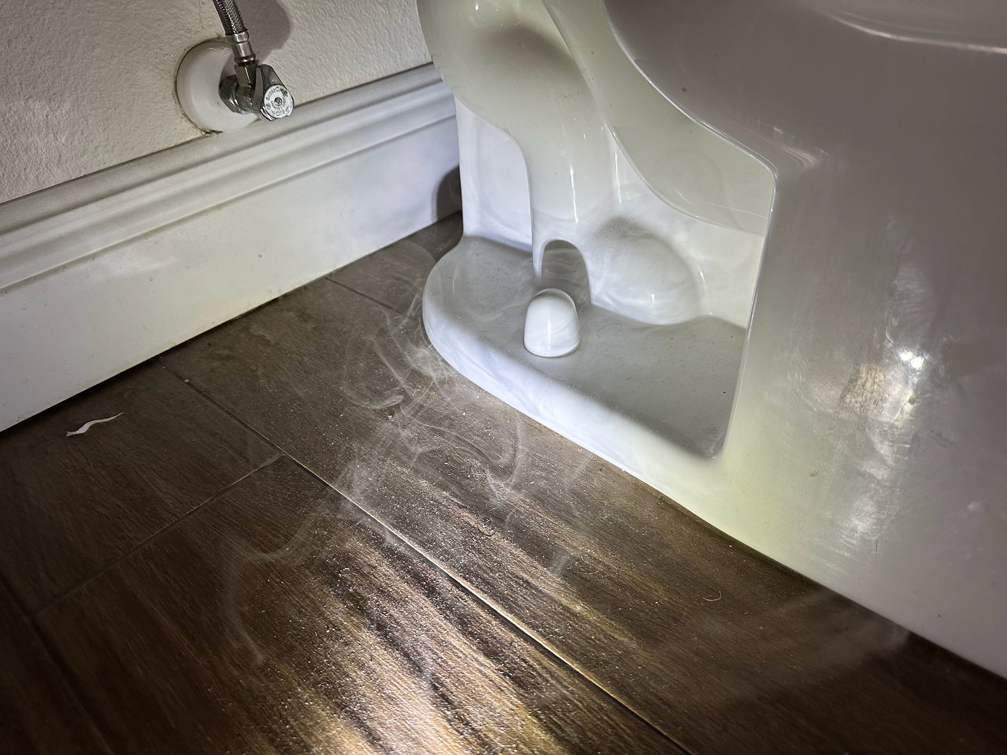 Smoke escaping from base of toilet in Palm Harbor bathroom due to failed wax ring seal.