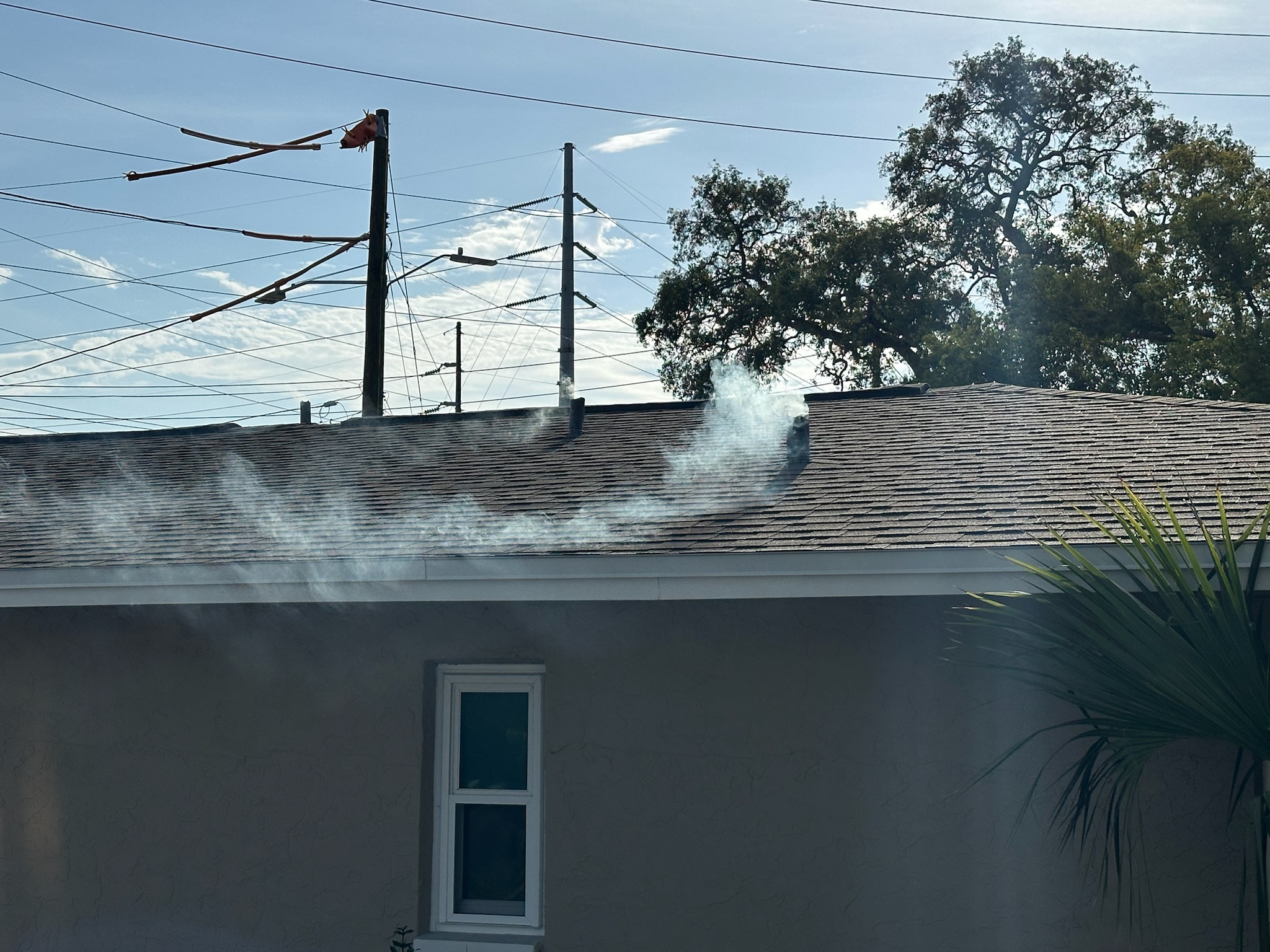 Smoke billowing from multiple plumbing stacks during sewer odor test at a Palm Harbor office building.