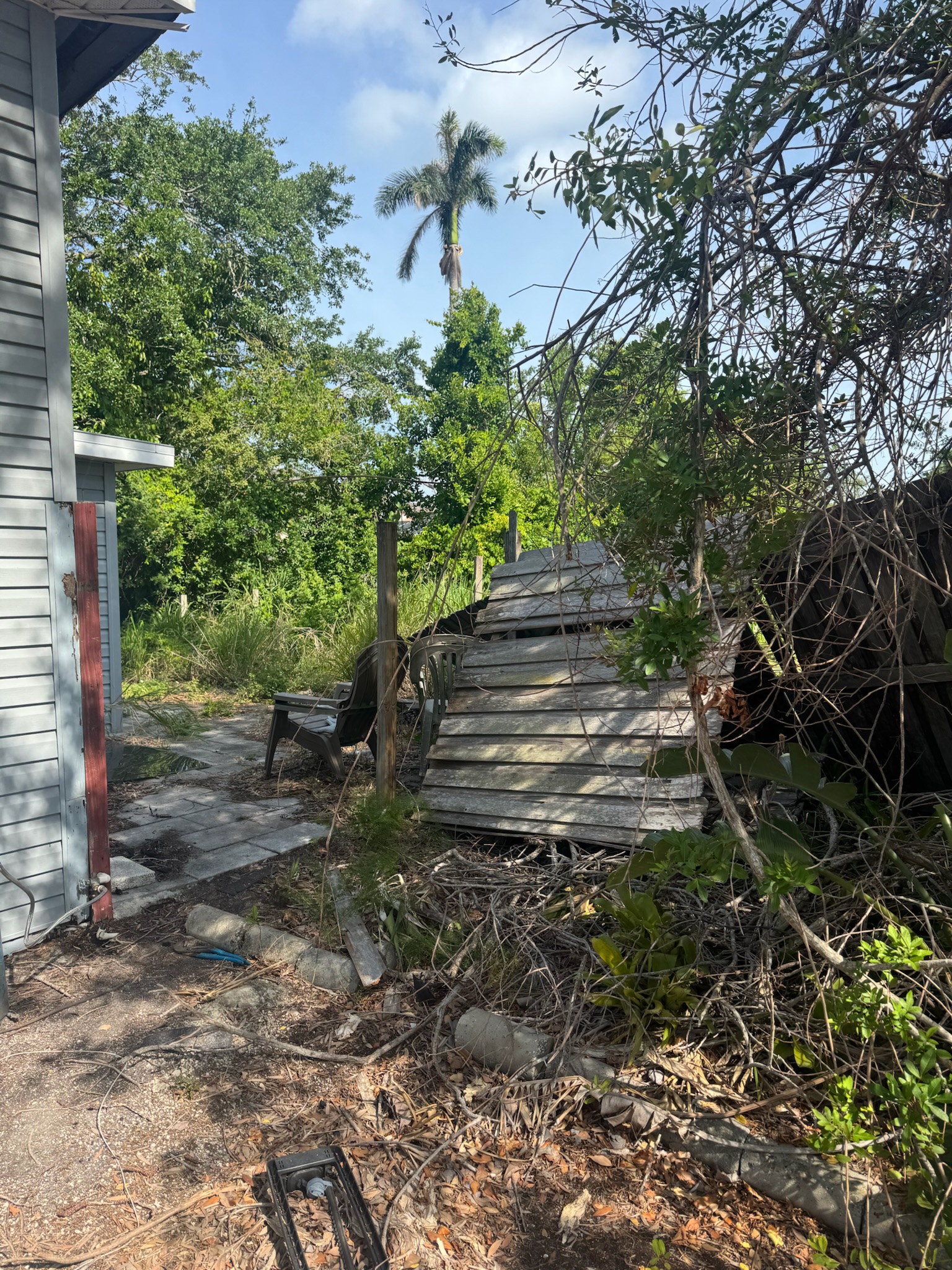 Overgrown backyard cluttered with deck boards, tarp, and an abandoned chair