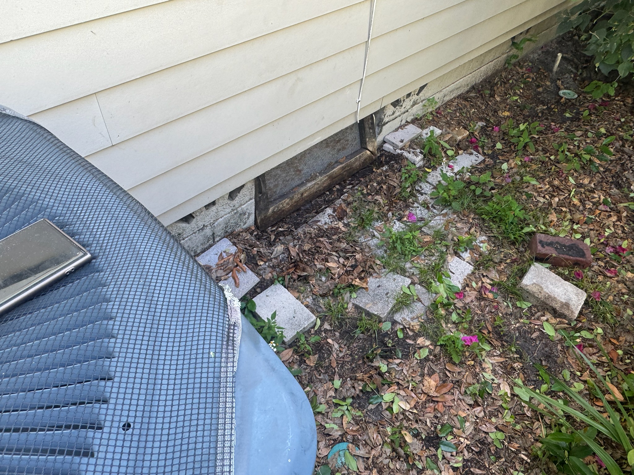 Crawl space entrance hidden behind AC condenser and thick brush in St. Petersburg yard