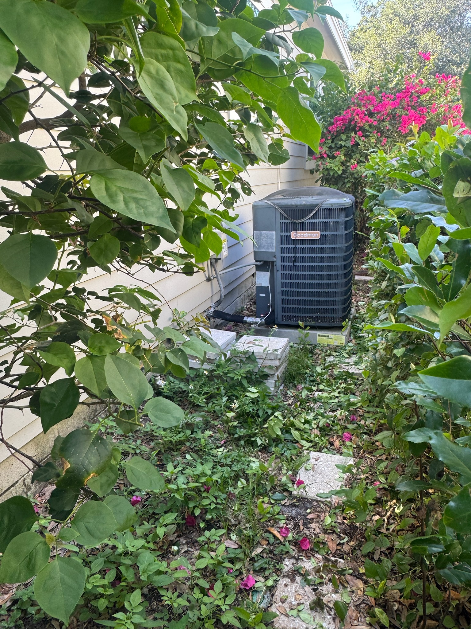 Photo 2 – AC condenser in a narrow, trimmed path surrounded by brush and pink flowers