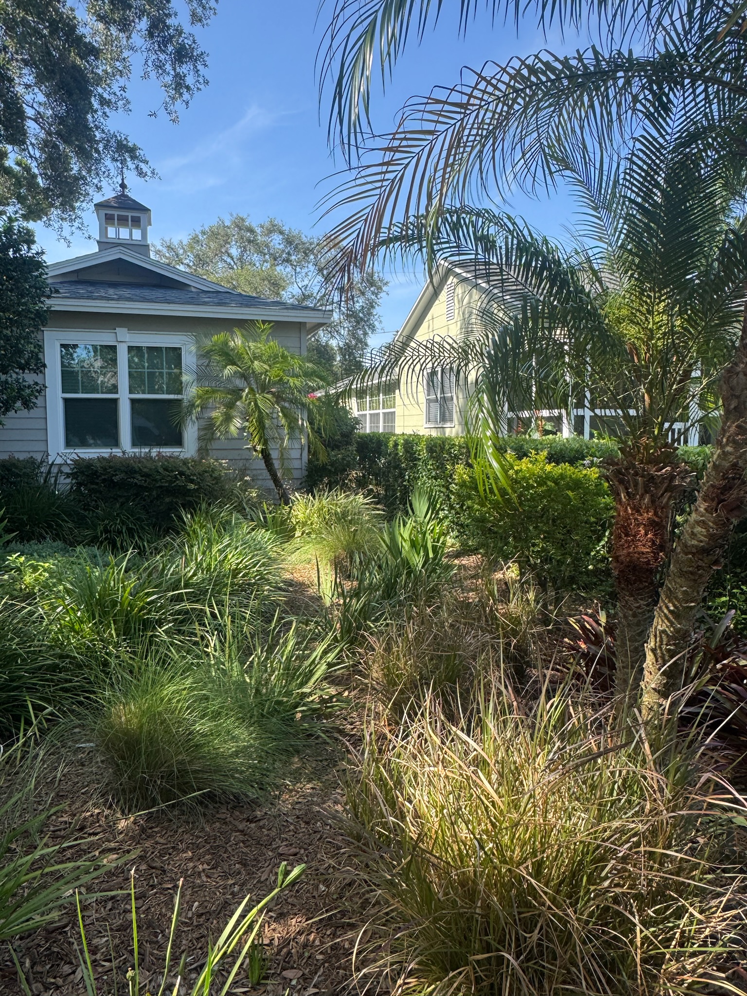 Front yard of a tropical St. Petersburg home with palm trees and no signs of a water leak