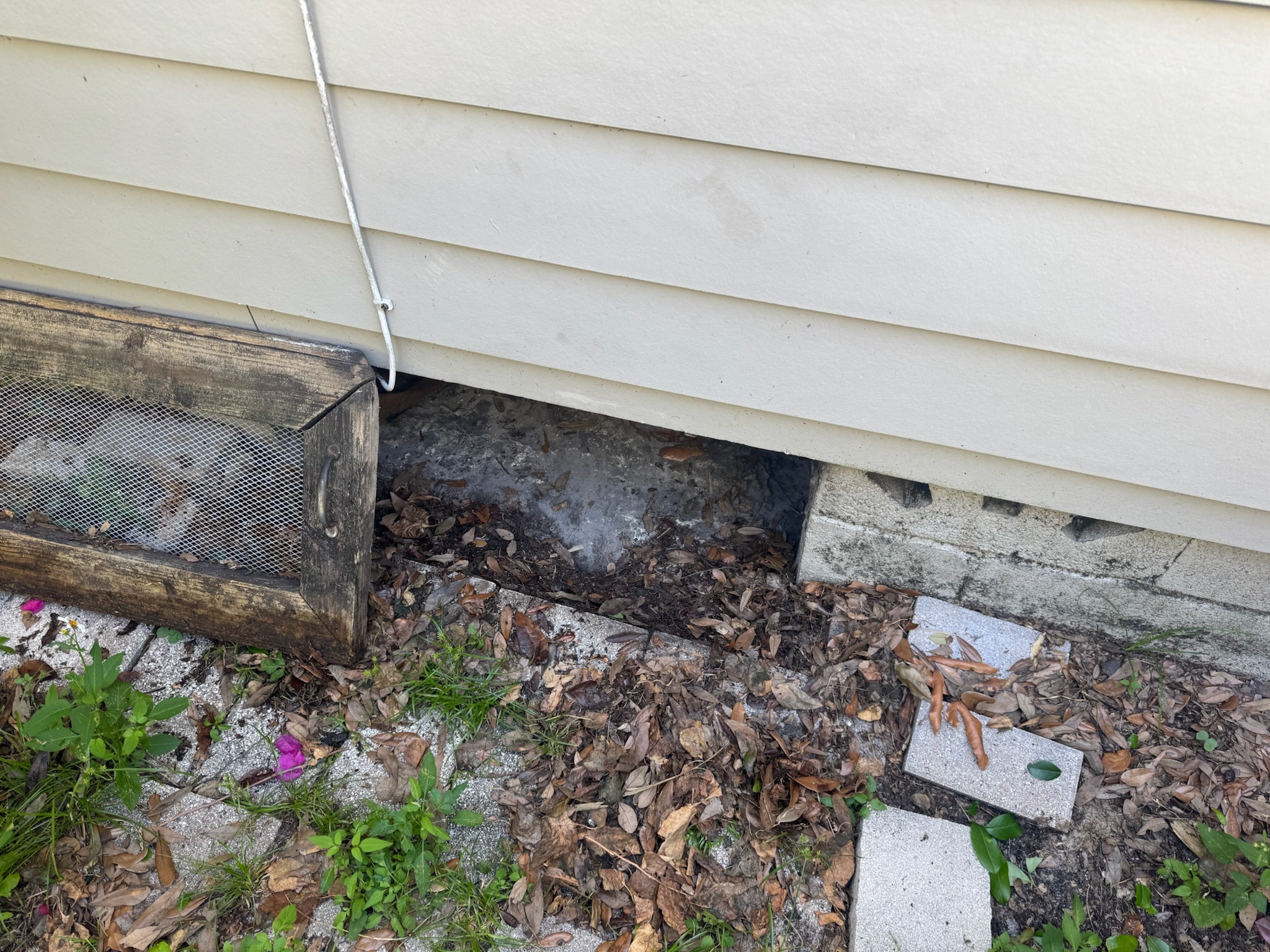 Small crawl space opening behind home, suspected source of underground water leak