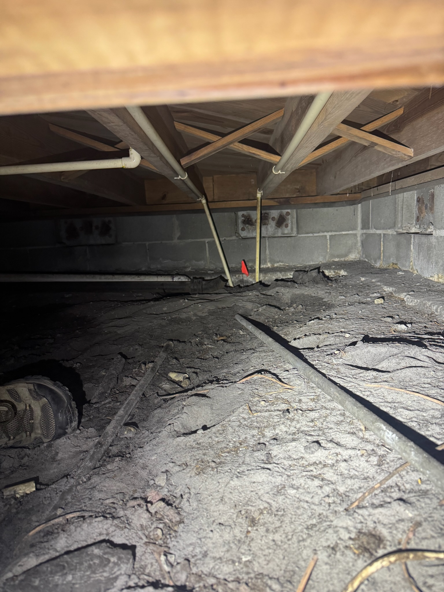 CPVC, galvanized, and sewer pipes under the house with orange flag marking leak location