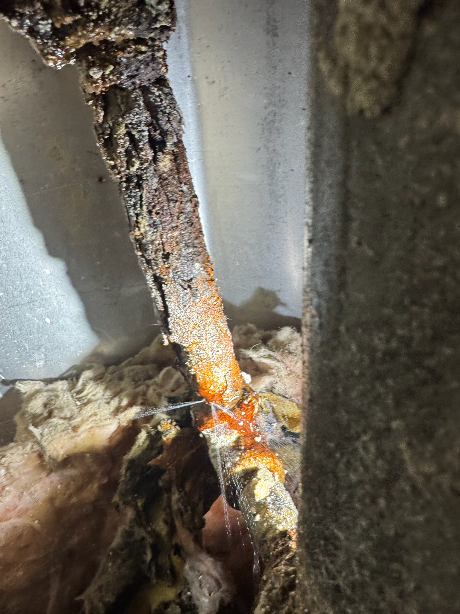 Water spraying from a corroded galvanized pipe inside a block wall in a Clearwater Beach condo