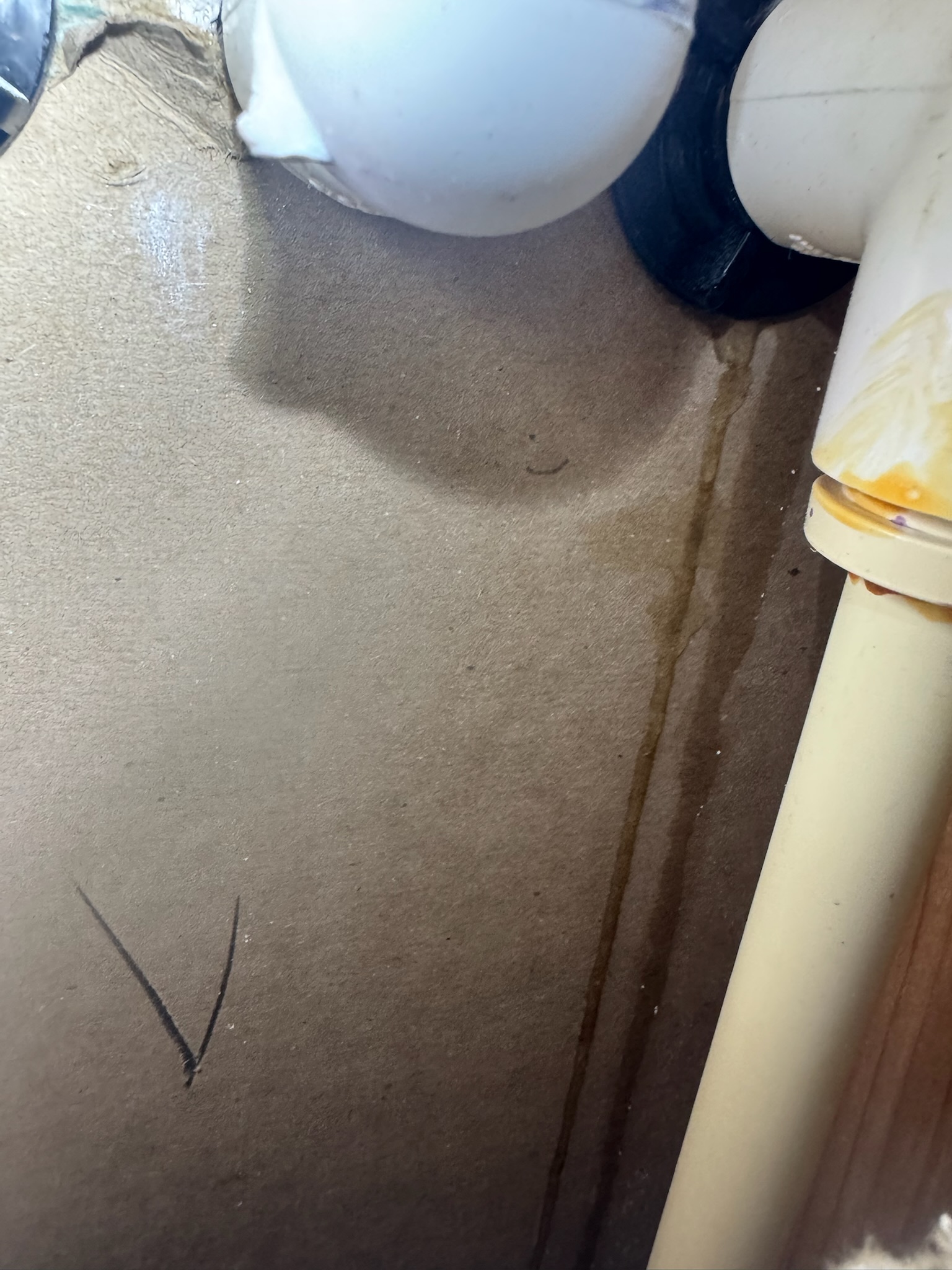 Close-up of leak at CPVC pipe Close-up of leaking CPVC pipe with visible water trail down drywall in St. Petersburg home