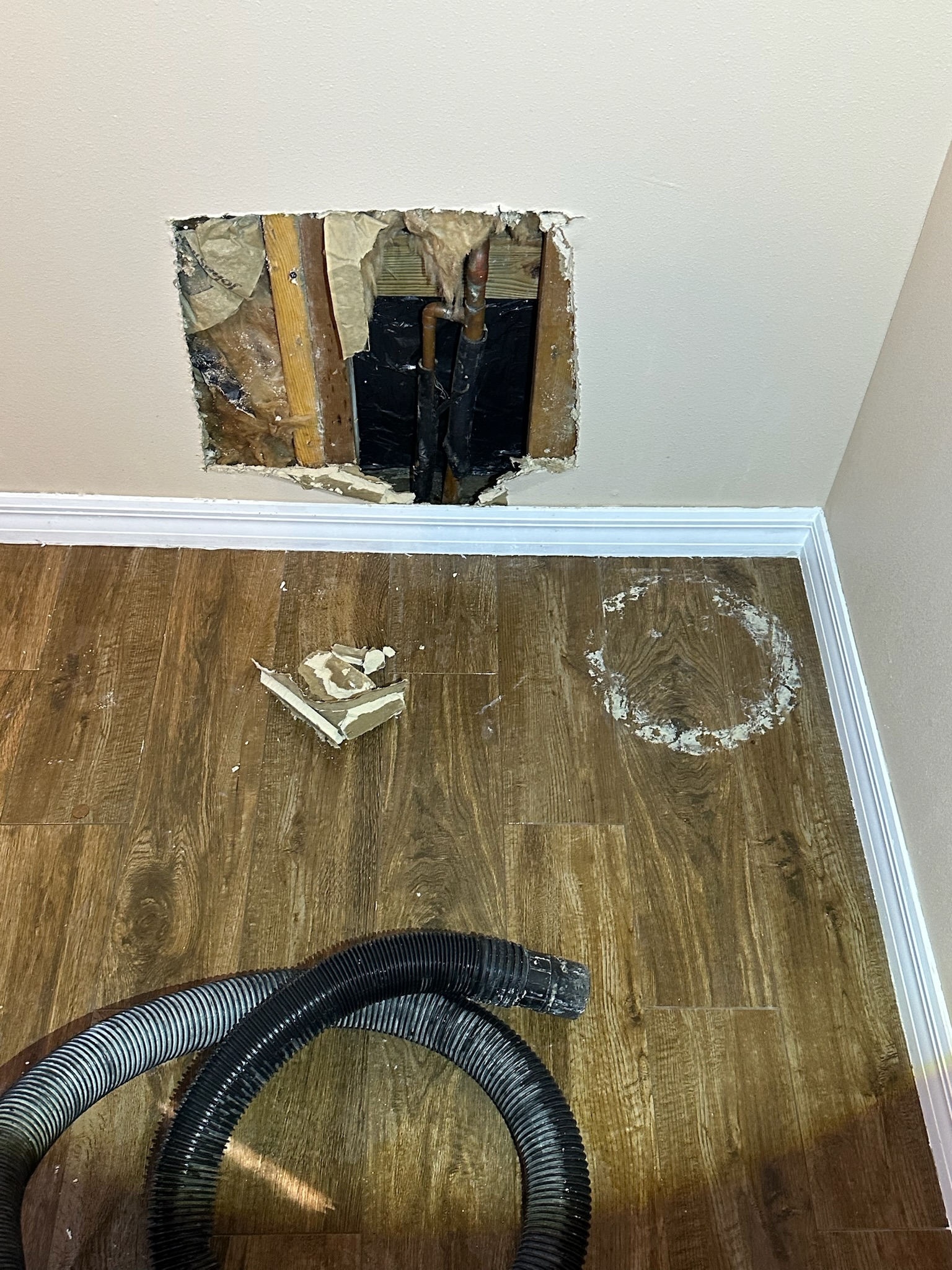 Single drywall access cut exposes leaking copper pipes in Northeast St. Petersburg home