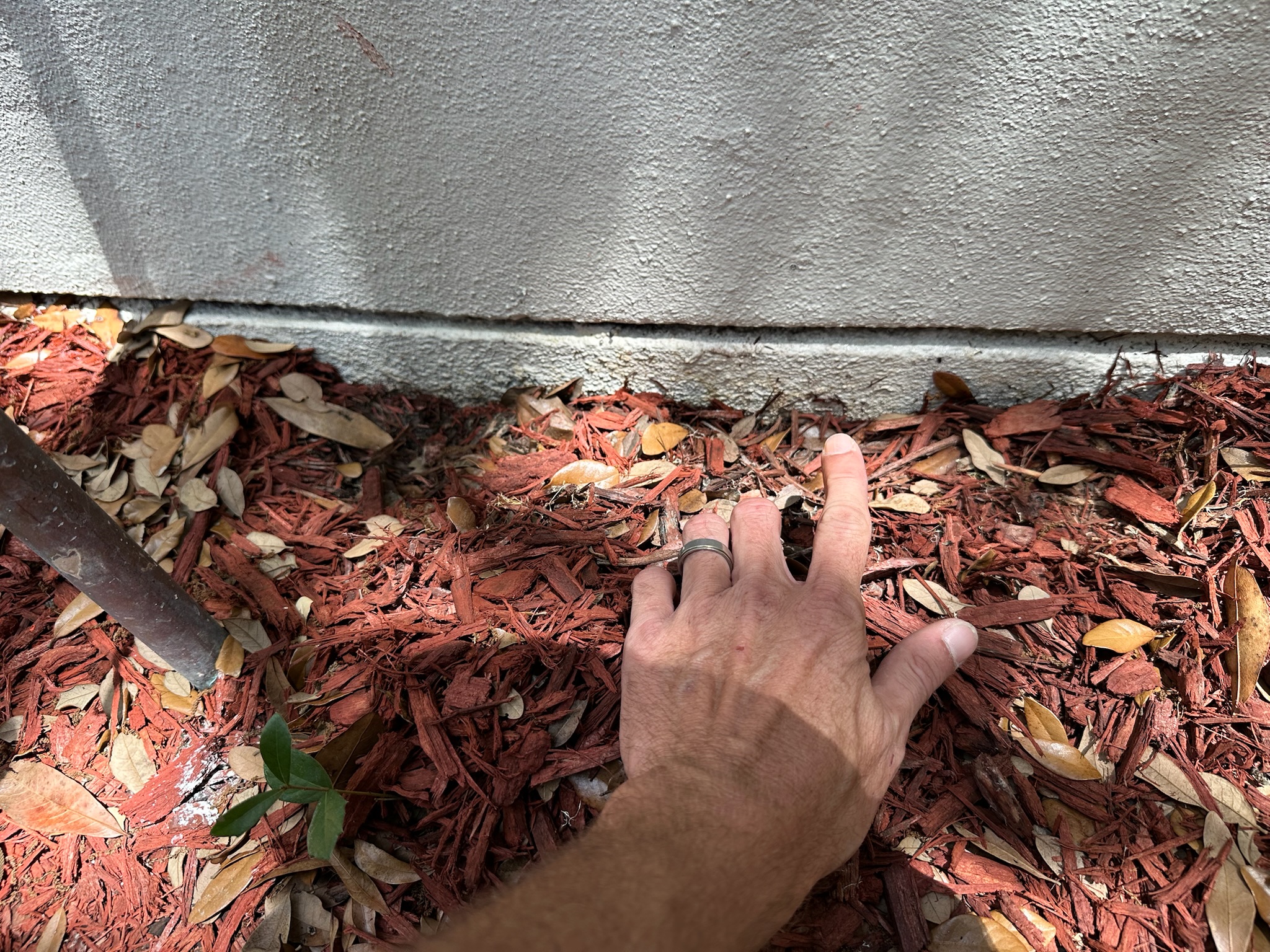Water seeping from block wall in Largo FL
