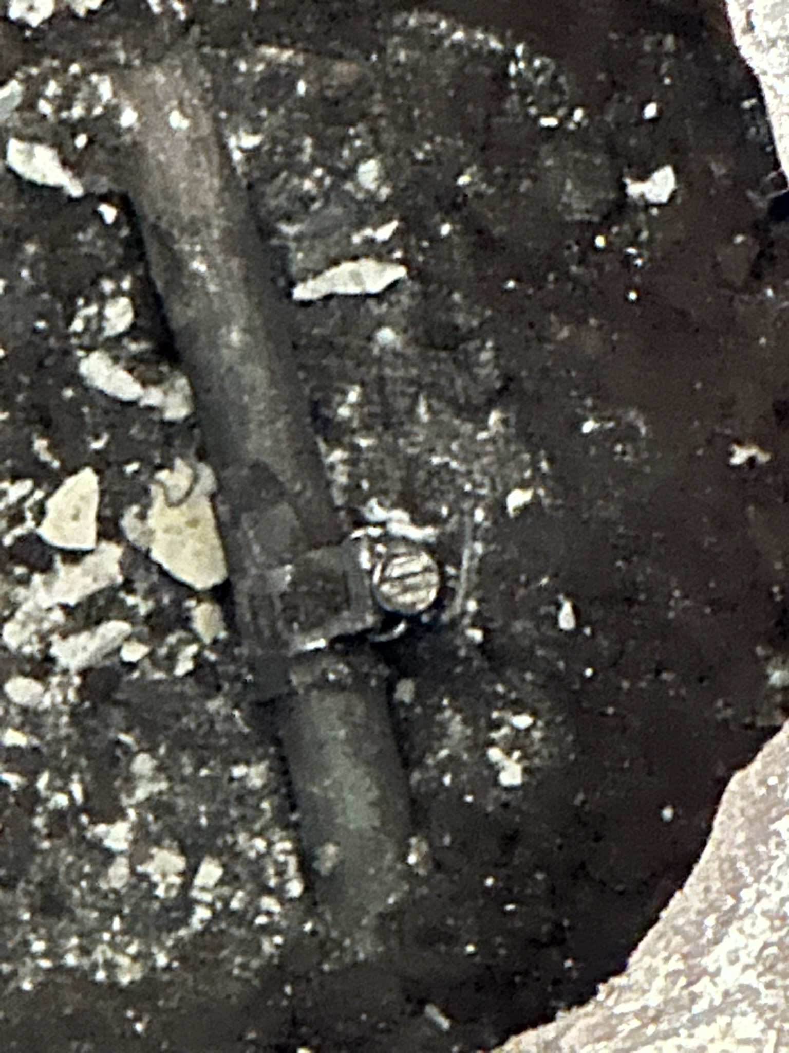Temporary clamp installed on leaking copper pipe beneath slab in Clearwater home