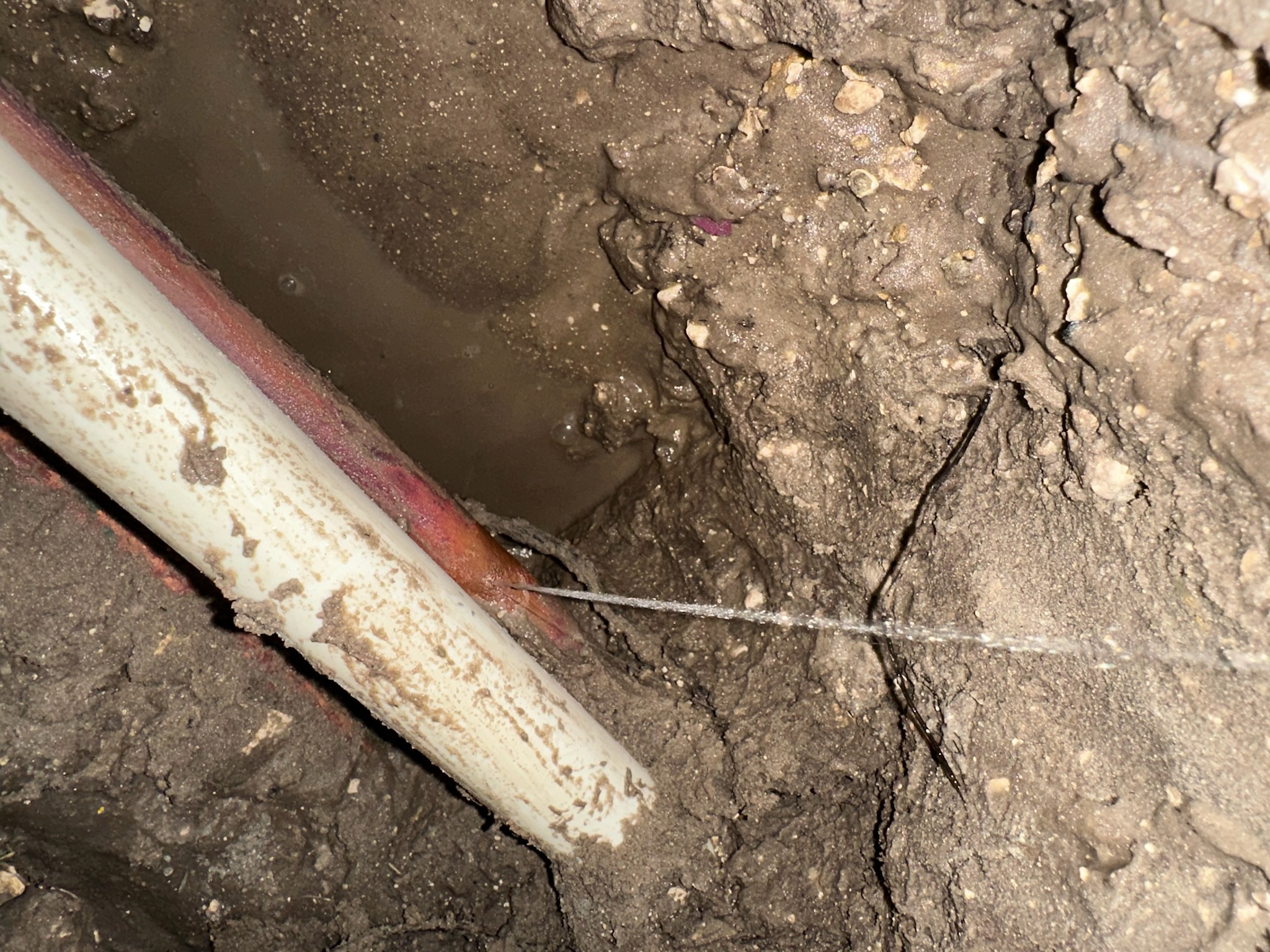 Oldsmar Water Leak Detection - Confirmed Copper Pipe Leak Under Slab Water spraying from a confirmed copper pipe leak under a bedroom slab during an Oldsmar water leak detection job.