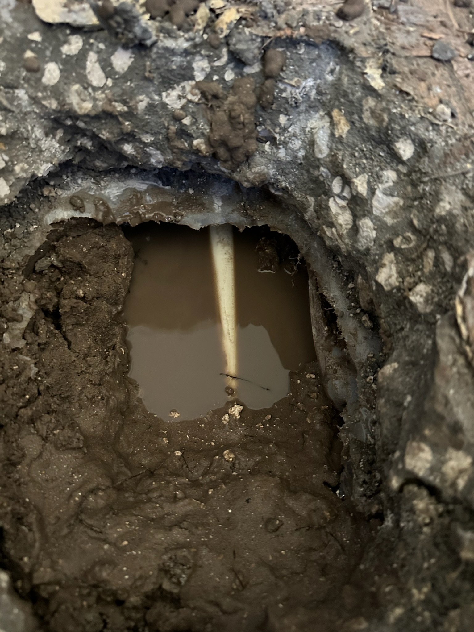 Oldsmar Water Leak Detection - PVC Pipe and Water Found Under Slab PVC pipe and visible water exposed under a bedroom slab during an Oldsmar water leak detection inspection.