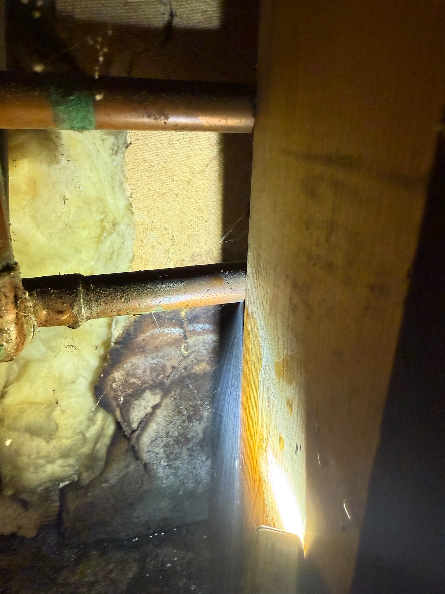 Palm Harbor water leak detection close-up showing a tiny spider-web-like spray leaking from a copper pipe under the kitchen sink.