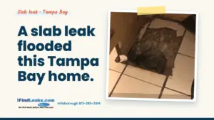 A slab leak flooded this Tampa Bay home.