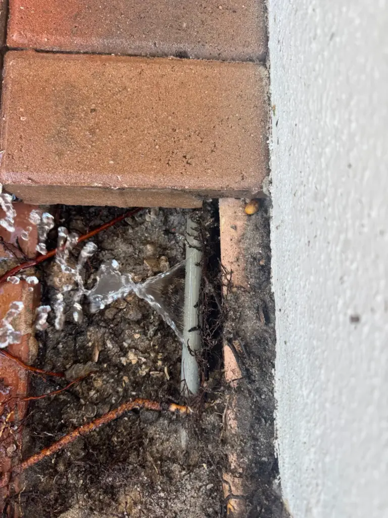 A gray water pipe spraying water inside a small hole dug beside a paver and a stucco wall, with roots in the soil.