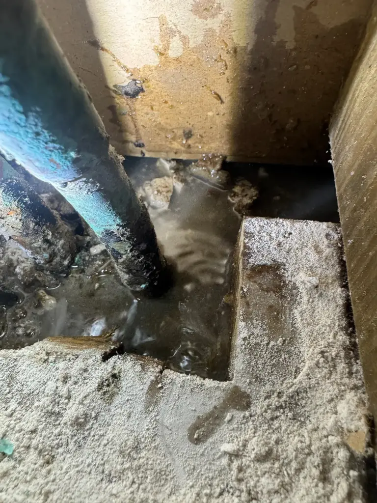 A copper pipe covered in green corrosion rises from a hole broken in a concrete slab with water pooled around it.