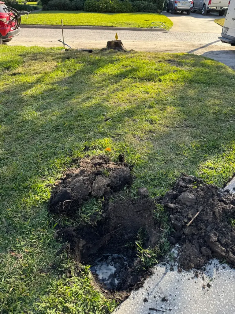 Two dug holes with piles of dark soil in a sunny lawn beside a concrete driveway.