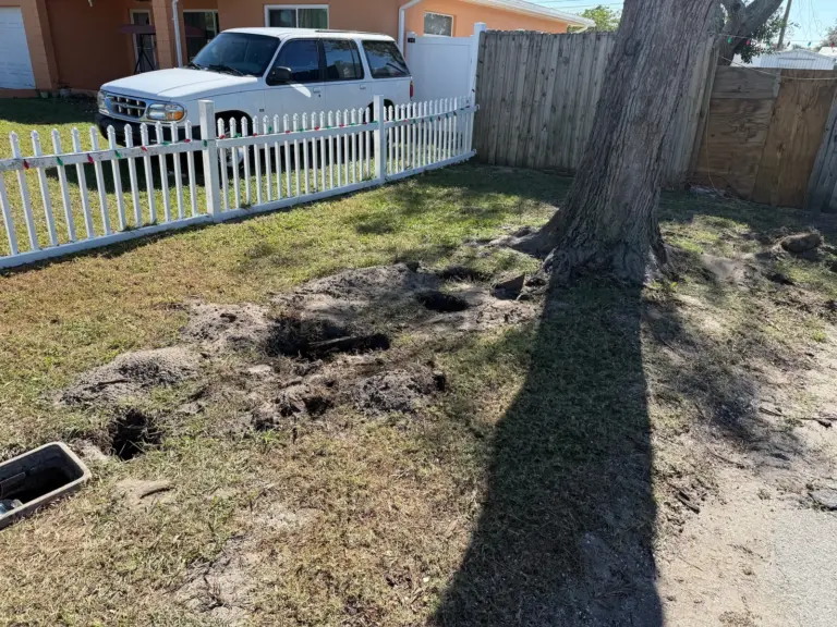 Front lawn with several small dug holes near a tree and a white picket fence, a meter box lid at the left.