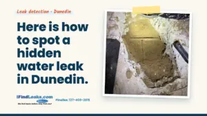 Here is how to spot a hidden water leak in Dunedin.