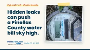 Hidden leaks can push a Pinellas County water bill sky high.