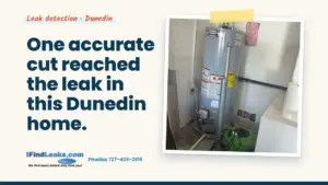 One accurate cut reached the leak in this Dunedin home.