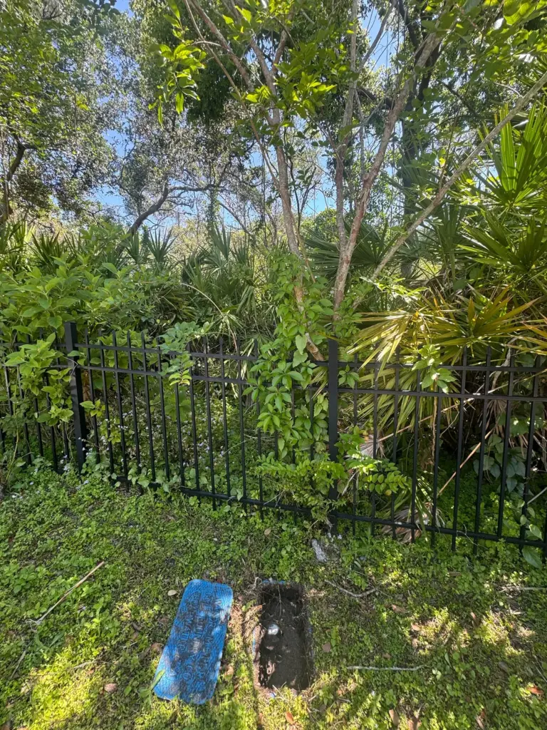 An open water meter box sits in the lawn with its blue lid set aside, beside a black metal fence and dense plants.
