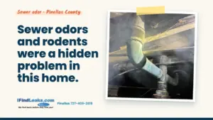 Sewer odors and rodents were a hidden problem in this home.