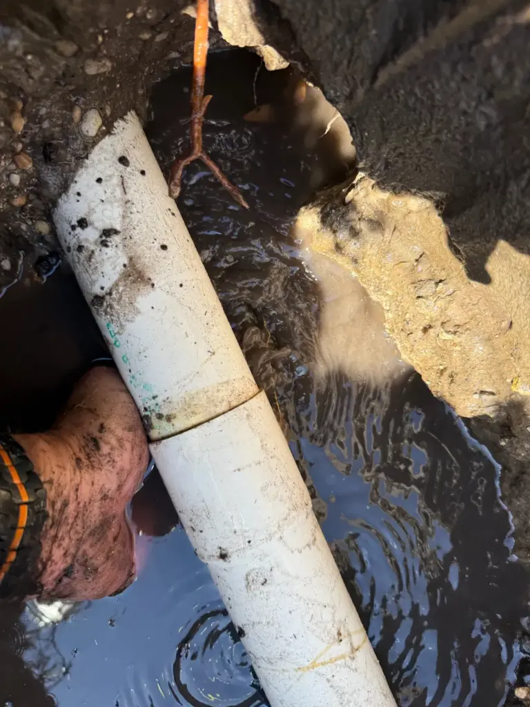 A muddy hand reaches under a white PVC pipe in a hole filled with rippling water.