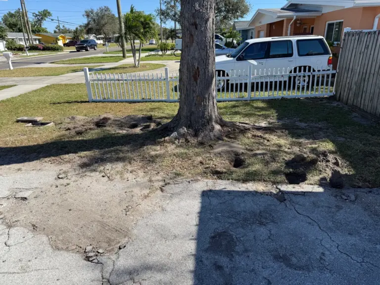 Front yard with small dug holes around a tree trunk beside a cracked concrete driveway and a white picket fence.
