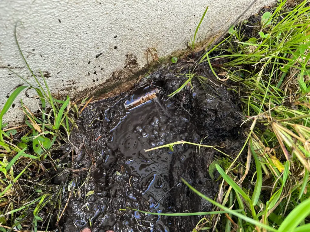 Water bubbling up through dark mud around a short pipe stub where the lawn meets a house wall.