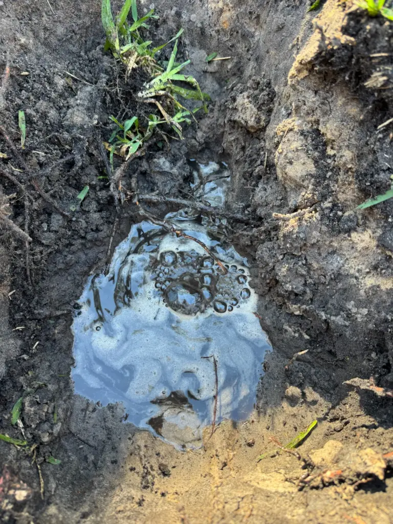 Muddy water bubbling up and pooling inside a hole dug in a grassy yard.