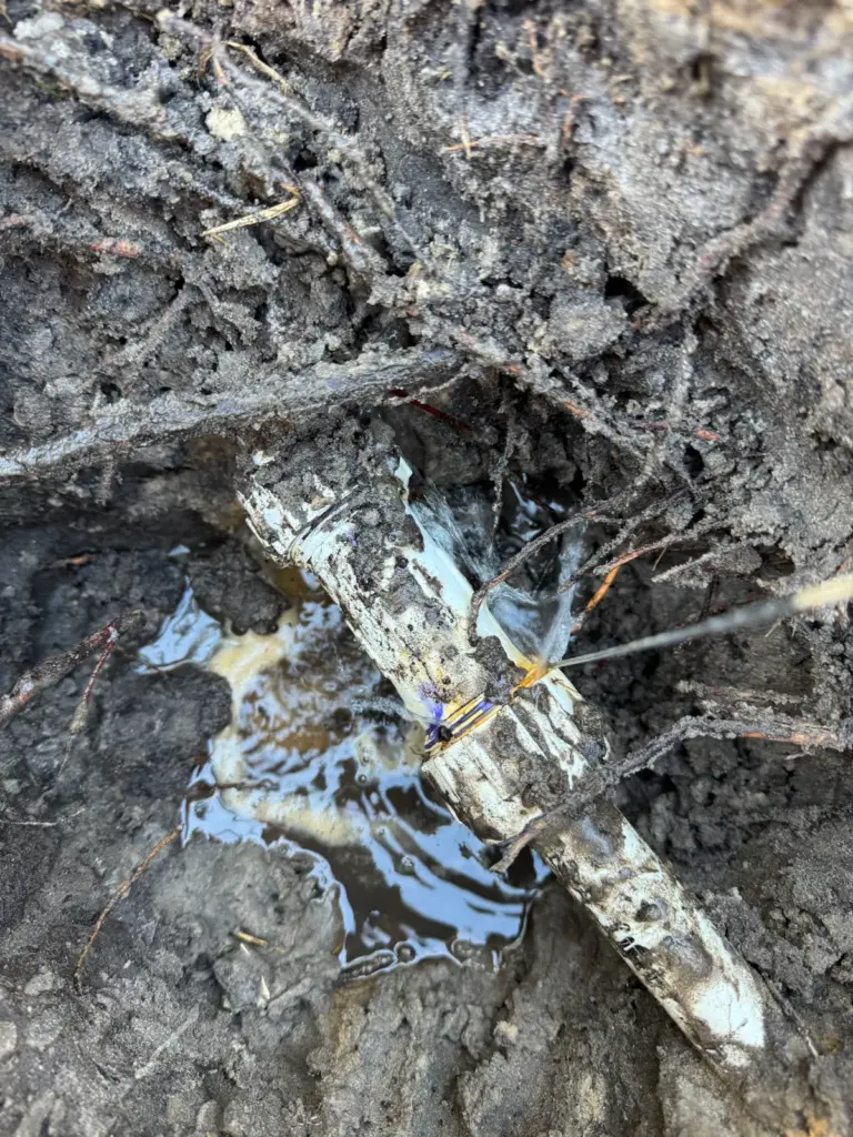 Thin jets of water spraying from a white PVC pipe wrapped in roots inside a muddy, water-filled hole.