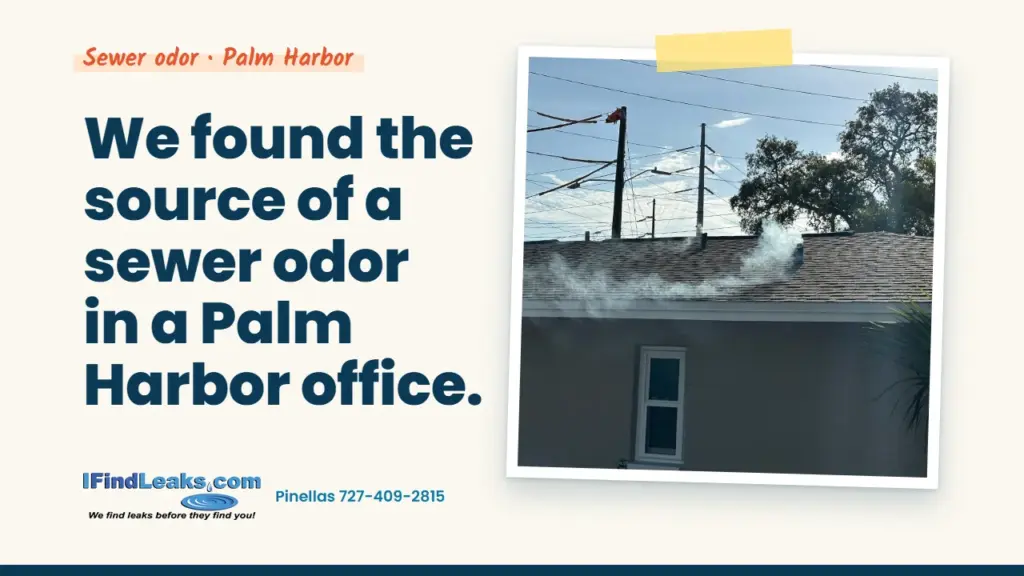 We found the source of a sewer odor in a Palm Harbor office.