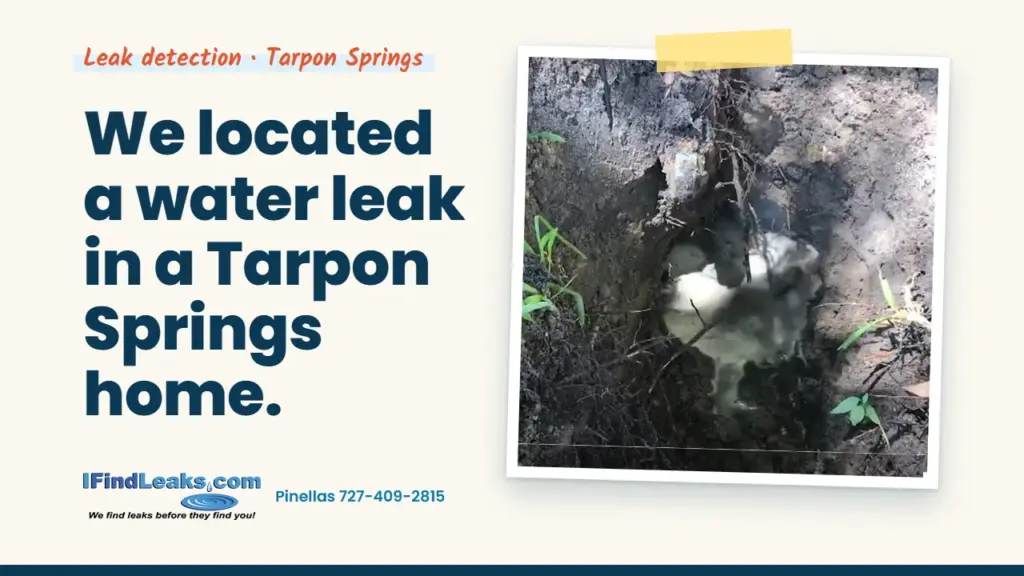 We located a water leak in a Tarpon Springs home.