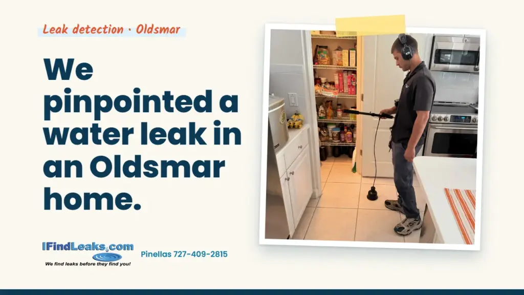 We pinpointed a water leak in an Oldsmar home.