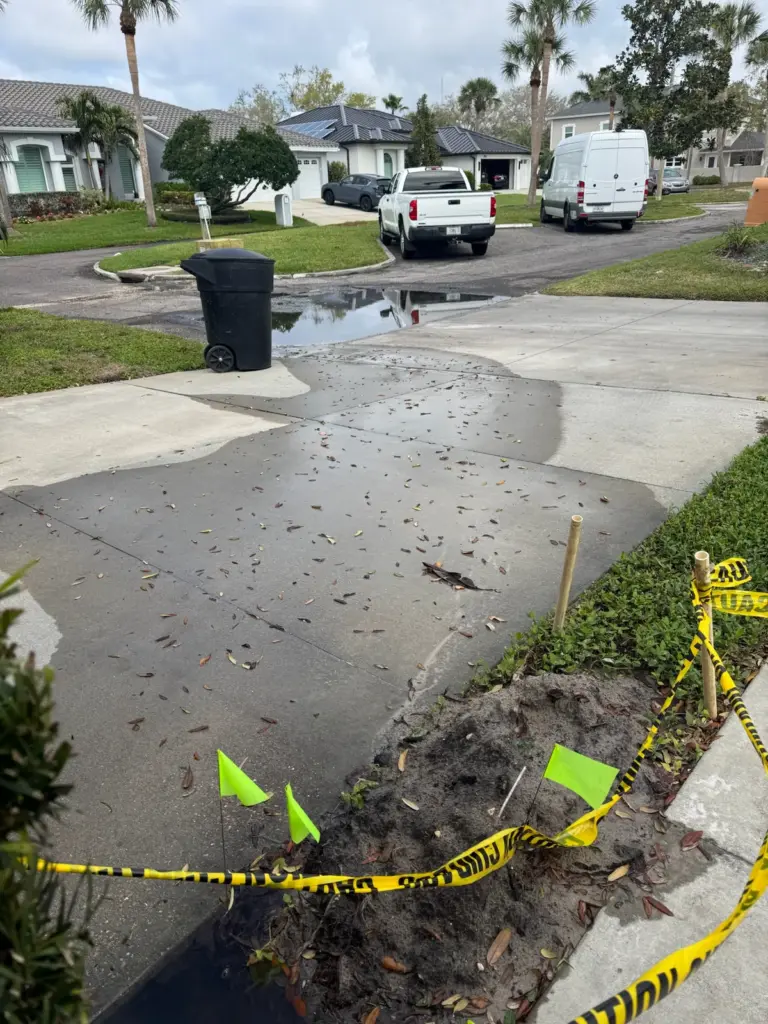 Wet concrete driveway beside a garden bed marked with caution tape and green flags, a street beyond.